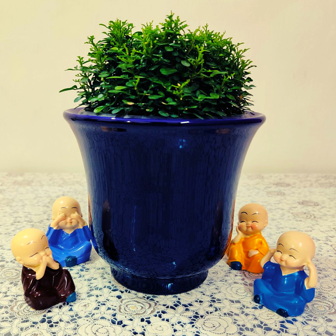 Homefrills Small High Glossy blue Colour Ceramic Planters Pots for Indoor & Outdoor Home, Garden, Office Decor, Balcony Planters Pot Gamla Size- 14*13 cm Colour- Blue